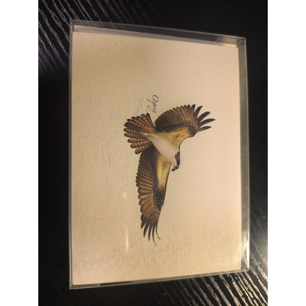 Earth Sky + Water - Osprey Notecard Set - 8 Blank Cards with Envelopes